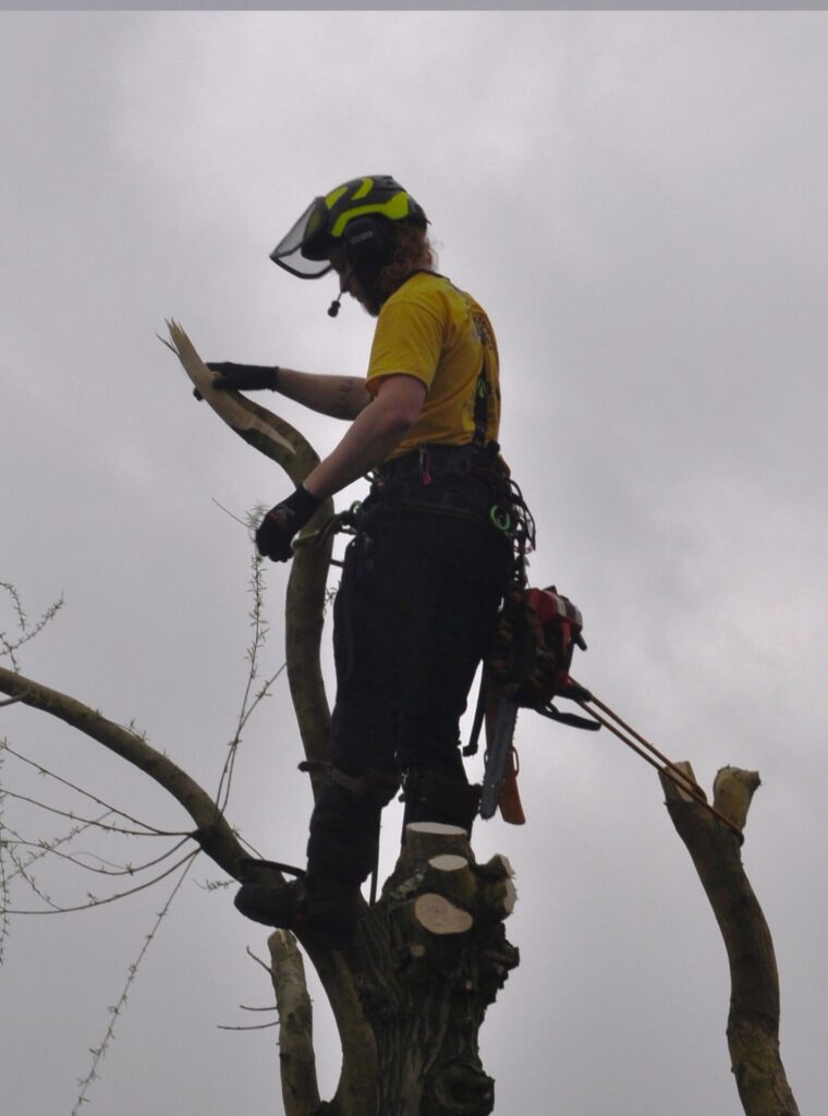 Nino staat op een boom met klimmateriaal en een kettingzaag