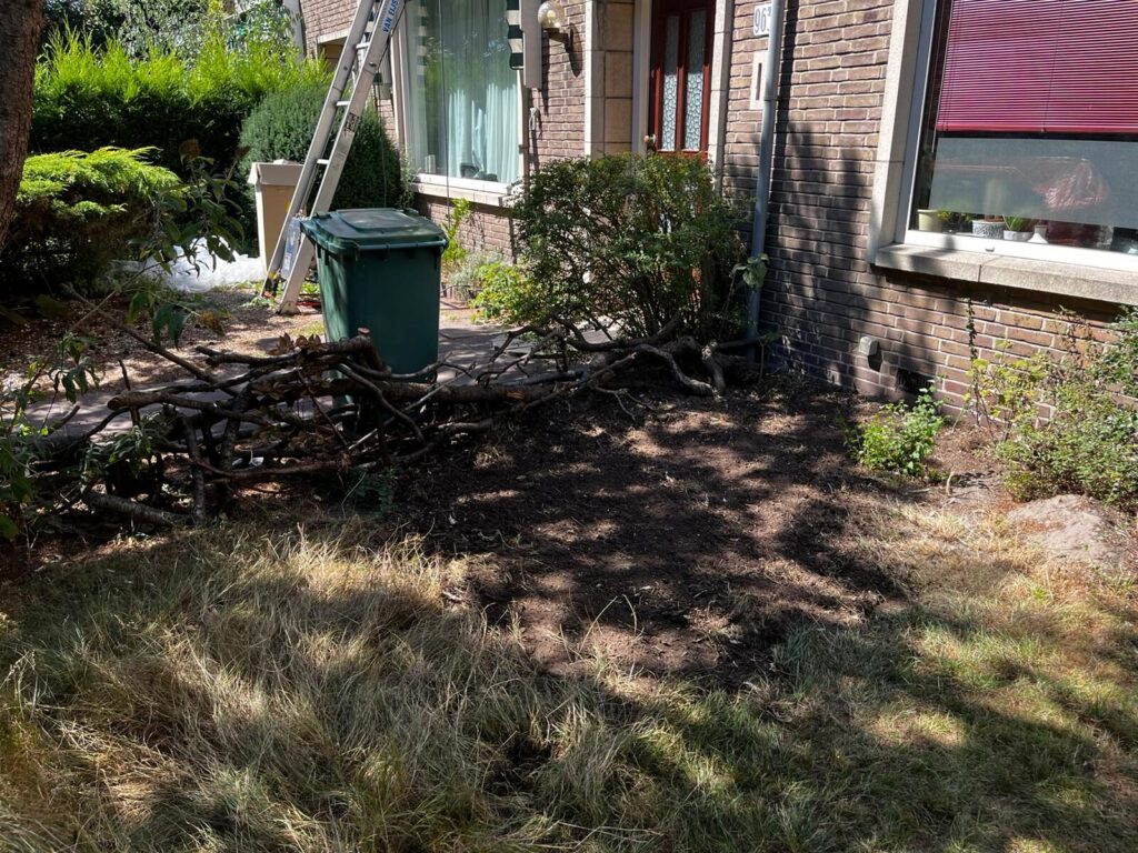 Lege plek waar een stronk stond